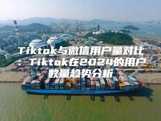 Tiktok与微信用户量对比：Tiktok在2025的用户数量趋势分析