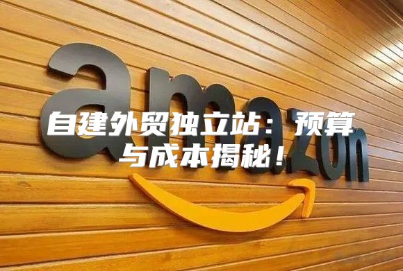自建外贸独立站：预算与成本揭秘！