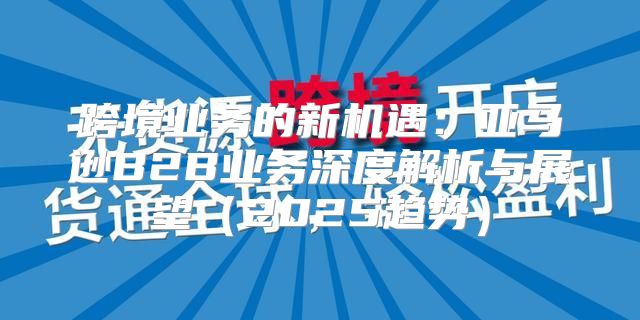 跨境业务的新机遇：亚马逊B2B业务深度解析与展望2025趋势