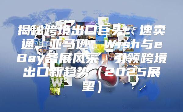 揭秘跨境出口巨头：速卖通、亚马逊、Wish与eBay各展风采，引领跨境出口新趋势2025展望