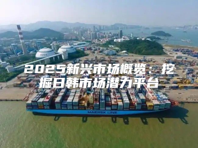 2025新兴市场概览：挖掘日韩市场潜力平台