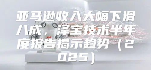 亚马逊收入大幅下滑八成，泽宝技术半年度报告揭示趋势2025