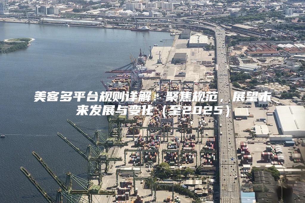 美客多平台规则详解：聚焦规范，展望未来发展与变化至2025