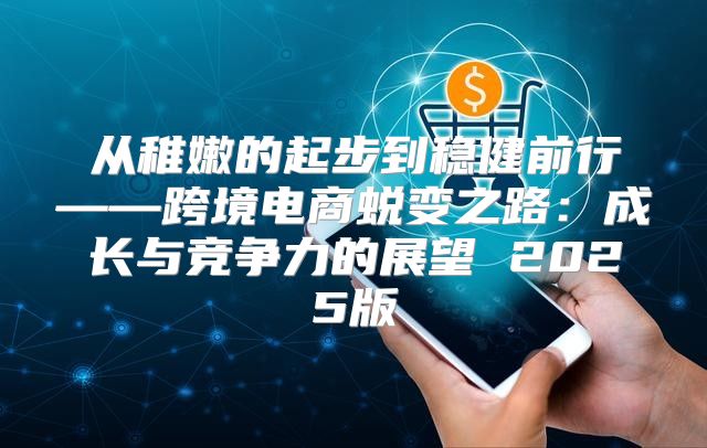 从稚嫩的起步到稳健前行——跨境电商蜕变之路：成长与竞争力的展望 2025版