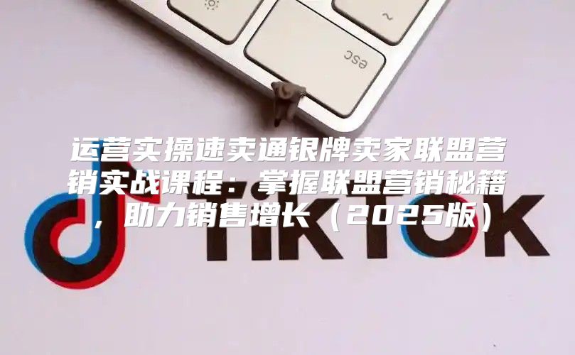 运营实操速卖通银牌卖家联盟营销实战课程：掌握联盟营销秘籍，助力销售增长2025版