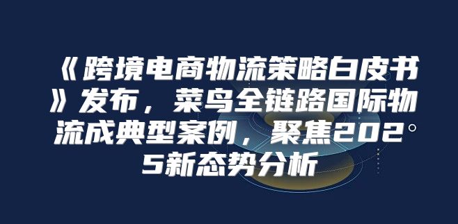 跨境电商物流策略白皮书发布，菜鸟全链路国际物流成典型案例，聚焦2025新态势分析