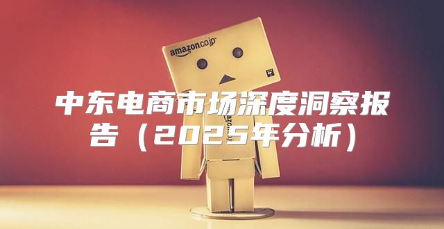 中东电商市场深度洞察报告2025年分析