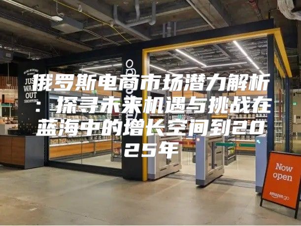 俄罗斯电商市场潜力解析：探寻未来机遇与挑战在蓝海中的增长空间到2025年