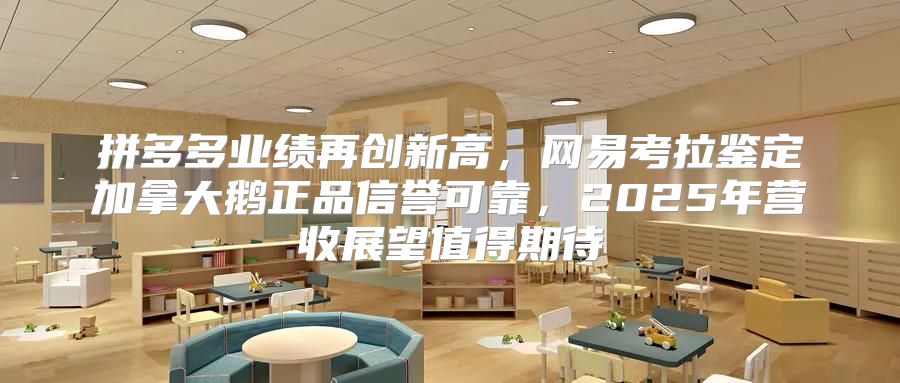 拼多多业绩再创新高，网易考拉鉴定加拿大鹅正品信誉可靠，2025年营收展望值得期待