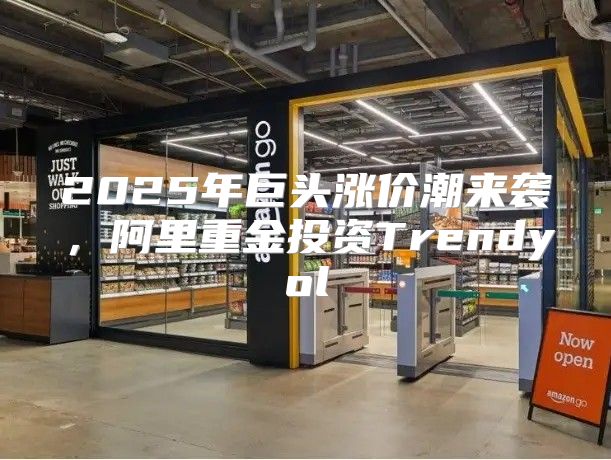 2025年巨头涨价潮来袭，阿里重金投资Trendyol