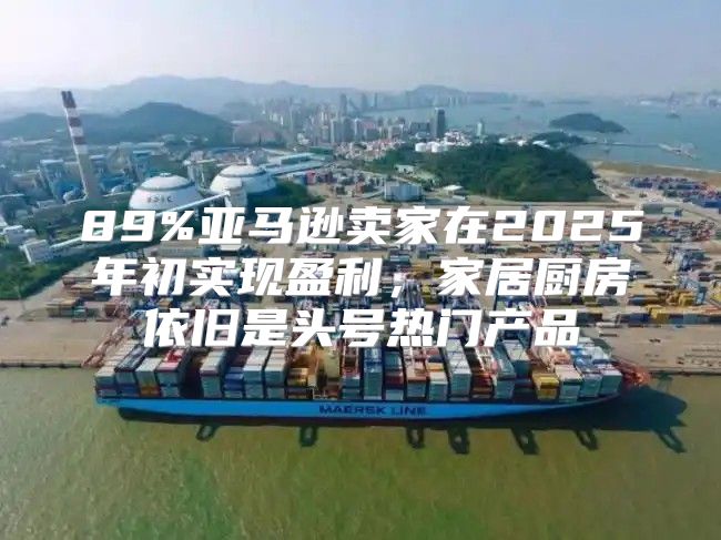 89%亚马逊卖家在2025年初实现盈利，家居厨房依旧是头号热门产品