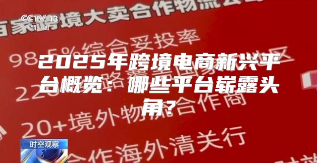 2025年跨境电商新兴平台概览：哪些平台崭露头角？