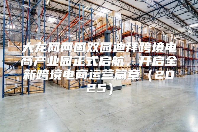 大龙网两国双园迪拜跨境电商产业园正式启航，开启全新跨境电商运营篇章2025