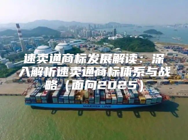 速卖通商标发展解读：深入解析速卖通商标体系与战略面向2025