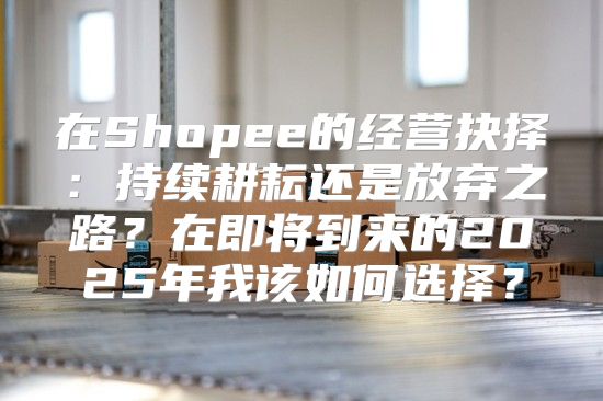 在Shopee的经营抉择：持续耕耘还是放弃之路？在即将到来的2025年我该如何选择？