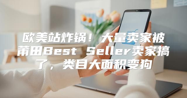 欧美站炸锅！大量卖家被莆田Best Seller卖家搞了，类目大面积变狗