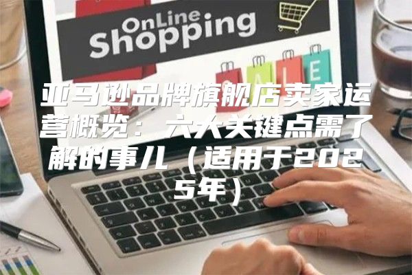 亚马逊品牌旗舰店卖家运营概览：六大关键点需了解的事儿适用于2025年