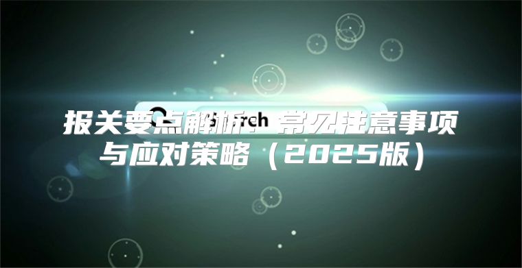 报关要点解析：常见注意事项与应对策略2025版