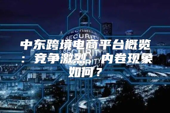 中东跨境电商平台概览：竞争激烈，内卷现象如何？