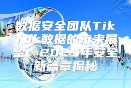 数据安全团队TikTok数据的未来展望：2025年安全新篇章揭秘