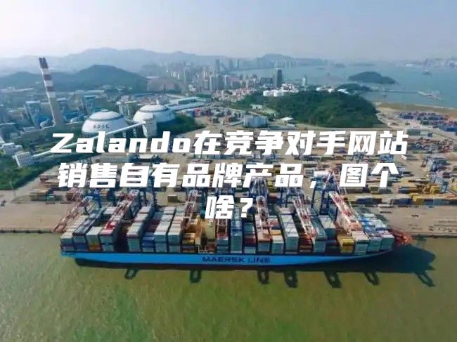 Zalando在竞争对手网站销售自有品牌产品，图个啥？