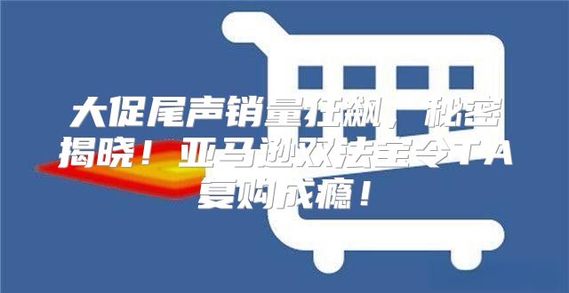大促尾声销量狂飙，秘密揭晓！亚马逊双法宝令TA复购成瘾！