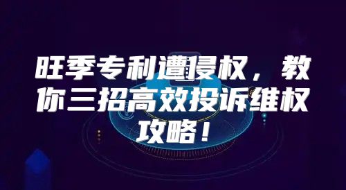 旺季专利遭侵权，教你三招高效投诉维权攻略！