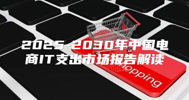 2025-2030年中国电商IT支出市场报告解读