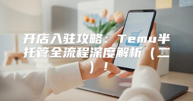 开店入驻攻略：Temu半托管全流程深度解析二！