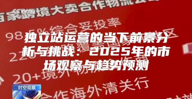 独立站运营的当下前景分析与挑战：2025年的市场观察与趋势预测