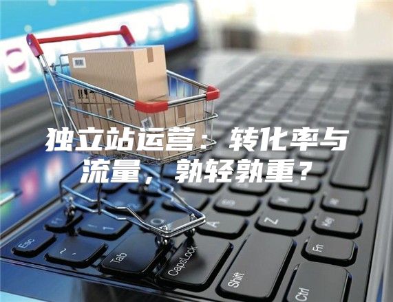 独立站运营：转化率与流量，孰轻孰重？
