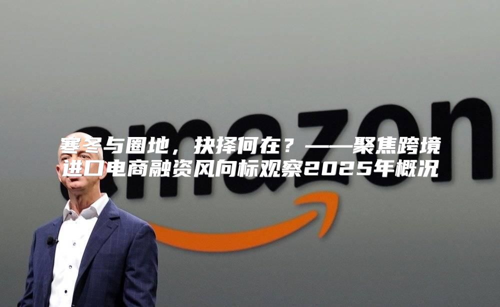 寒冬与圈地，抉择何在？——聚焦跨境进口电商融资风向标观察2025年概况