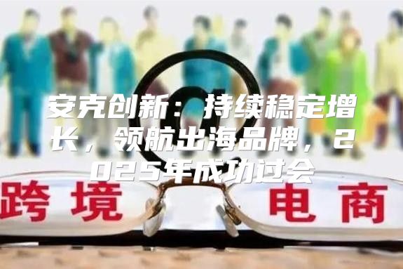 安克创新：持续稳定增长，领航出海品牌，2025年成功过会