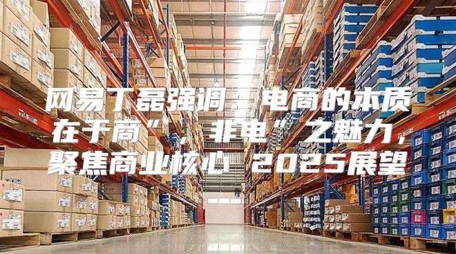 网易丁磊强调：电商的本质在于商”，非电”之魅力，聚焦商业核心 2025展望