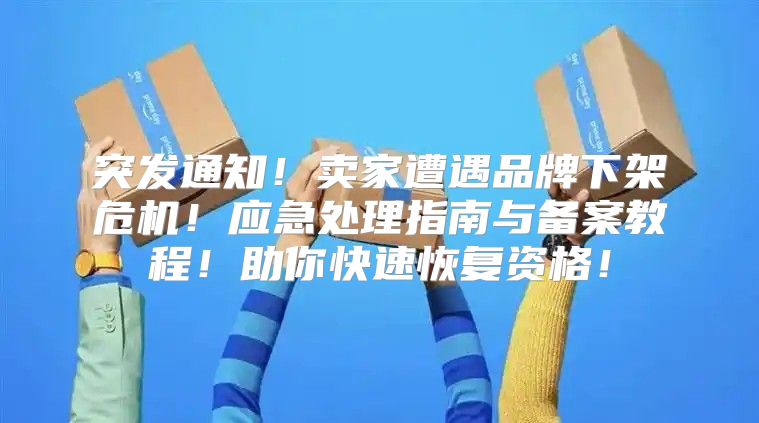 突发通知！卖家遭遇品牌下架危机！应急处理指南与备案教程！助你快速恢复资格！
