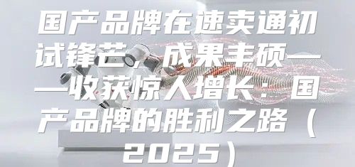国产品牌在速卖通初试锋芒，成果丰硕——收获惊人增长：国产品牌的胜利之路2025