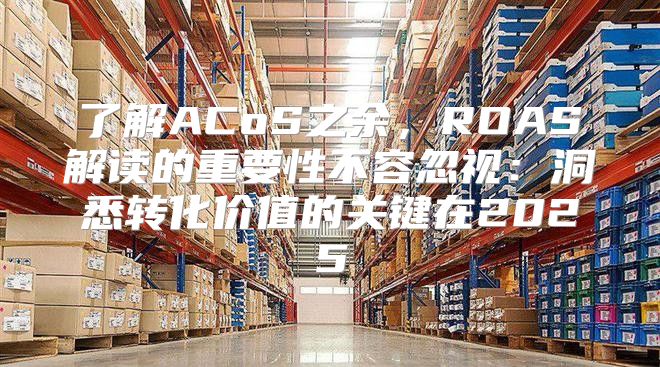 了解ACoS之余，ROAS解读的重要性不容忽视：洞悉转化价值的关键在2025