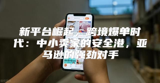 新平台崛起，跨境爆单时代：中小卖家的安全港，亚马逊的强劲对手