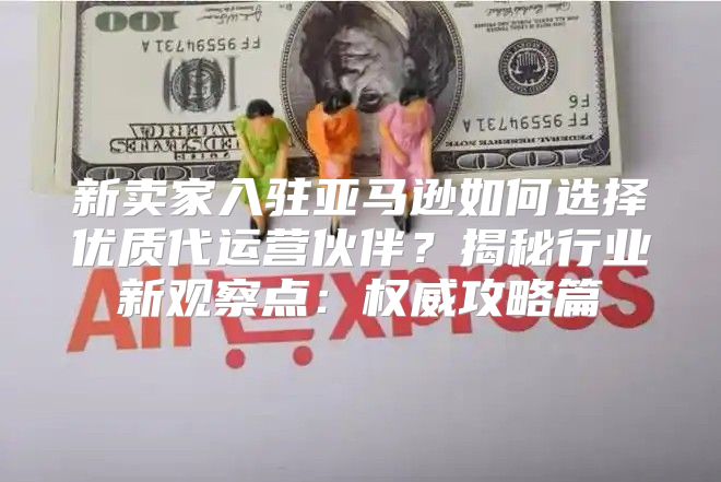 新卖家入驻亚马逊如何选择优质代运营伙伴？揭秘行业新观察点：权威攻略篇