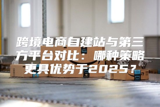 跨境电商自建站与第三方平台对比：哪种策略更具优势于2025？