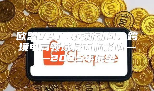 欧盟VAT立法新动向：跨境电商领域将面临影响——2025年展望