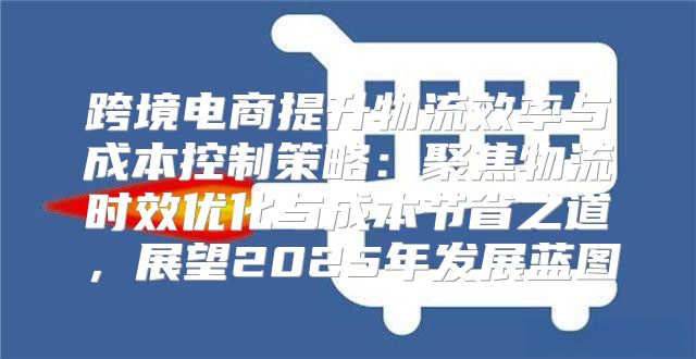 跨境电商提升物流效率与成本控制策略：聚焦物流时效优化与成本节省之道，展望2025年发展蓝图