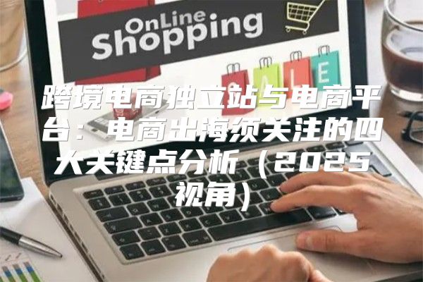 跨境电商独立站与电商平台：电商出海须关注的四大关键点分析2025视角