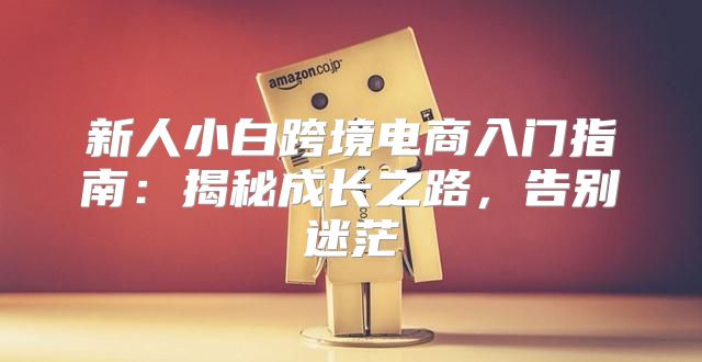 新人小白跨境电商入门指南：揭秘成长之路，告别迷茫