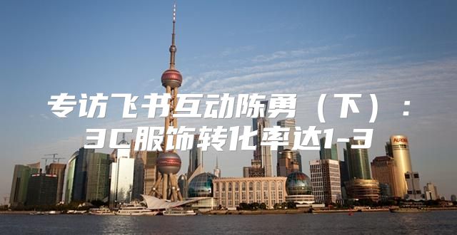 专访飞书互动陈勇下：3C服饰转化率达1-3