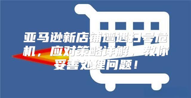 亚马逊新店铺遭遇扫号危机，应对策略详解，教你妥善处理问题！