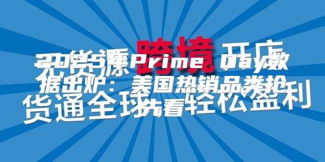 2025年Prime Day数据出炉：美国热销品类抢先看