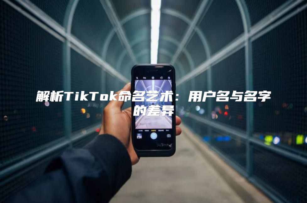 解析TikTok命名艺术：用户名与名字的差异