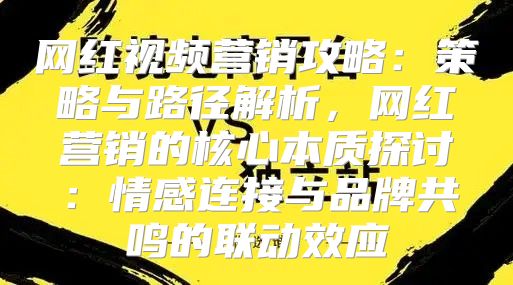 网红视频营销攻略：策略与路径解析，网红营销的核心本质探讨：情感连接与品牌共鸣的联动效应