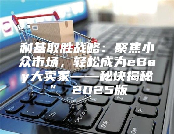 利基取胜战略：聚焦小众市场，轻松成为eBay大卖家——秘诀揭秘” 2025版
